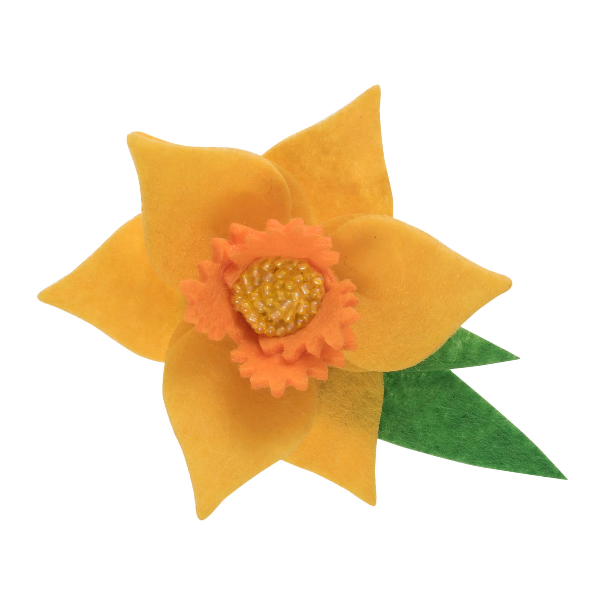 The image shows a yellow daffodil with a green leaf on a white background.